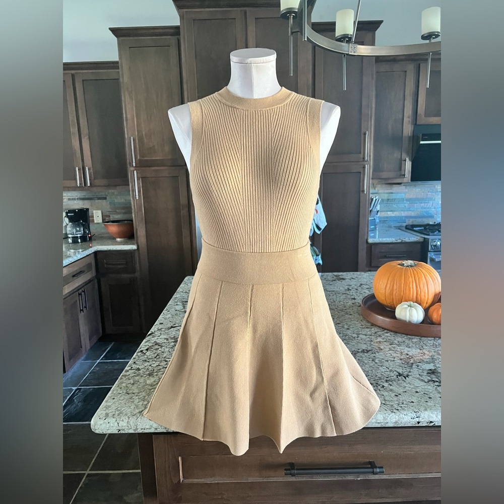 Club Monaco Sweater and Skirt Set